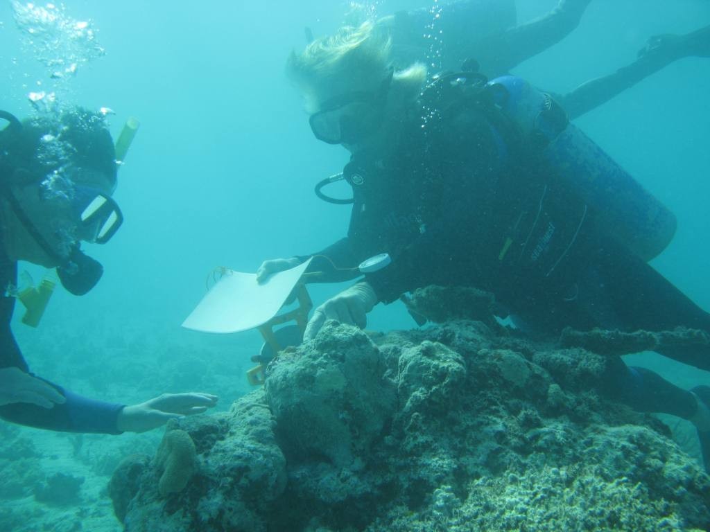 Substrate test - OceansWatch © Rachel Agnew